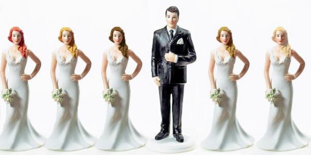 About Polygamy 