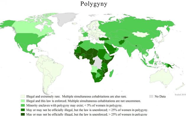 Polygamy In Africa Map